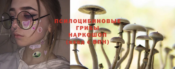гидропоника Алзамай