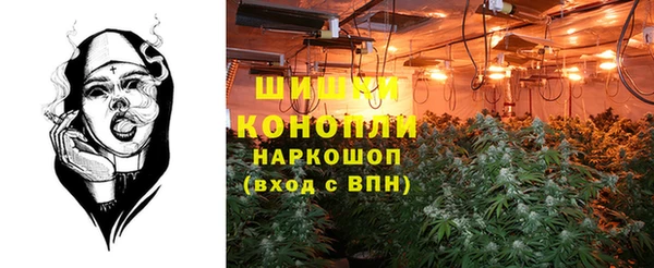 гидропоника Алзамай