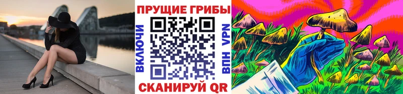 Псилоцибиновые грибы мицелий  Калининск 